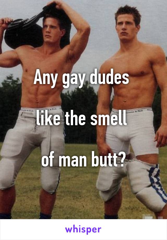 gay dudes pic